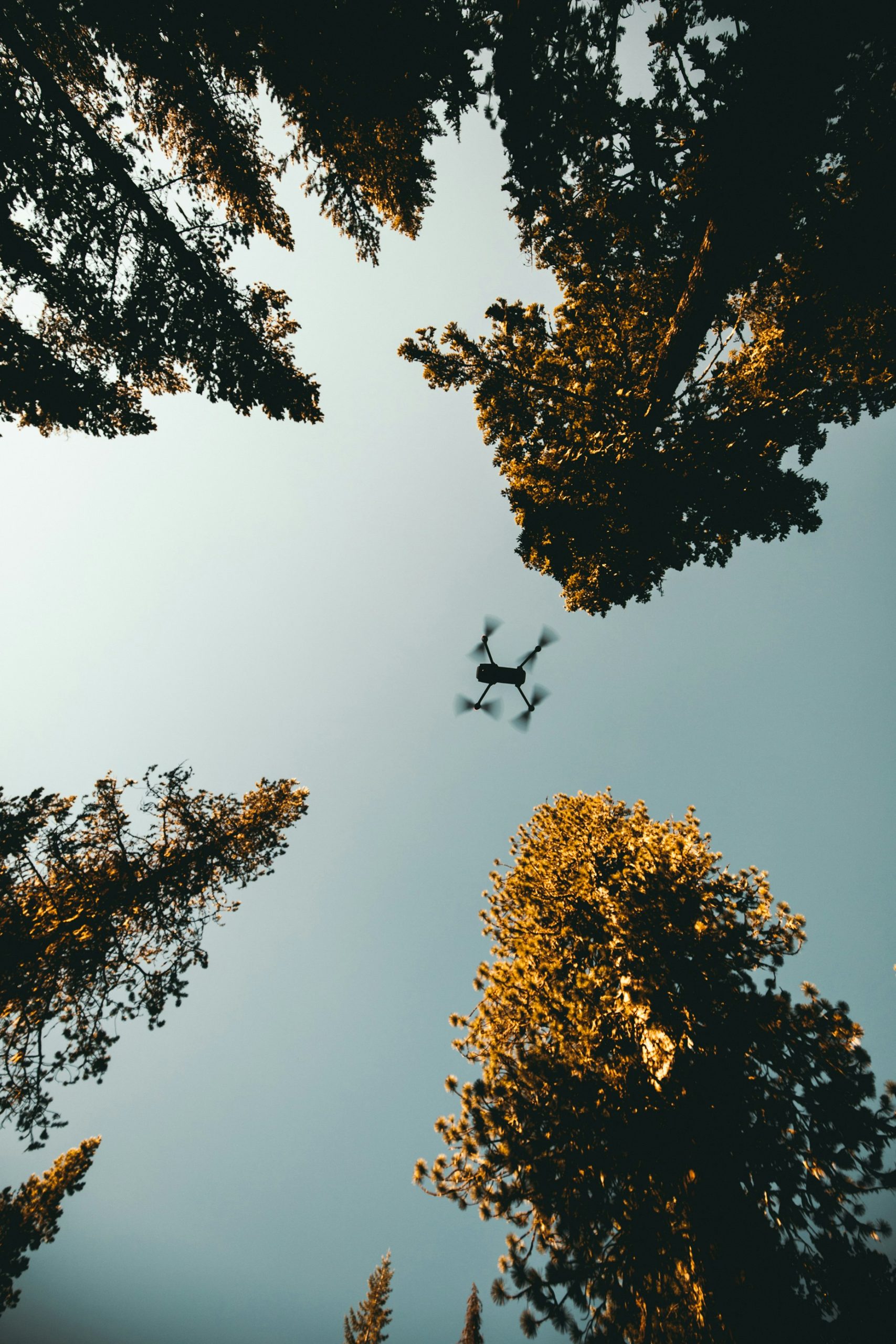 Drone Company in Sabah